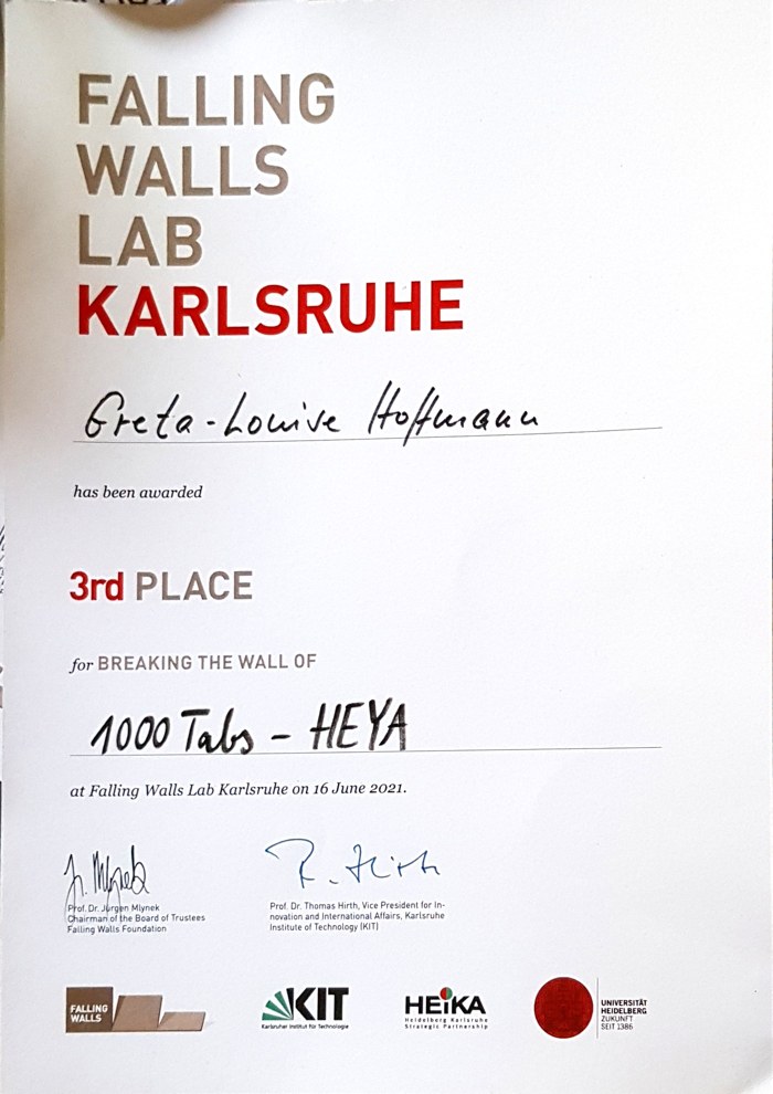 Falling Walls Lab Karlsruhe certificate